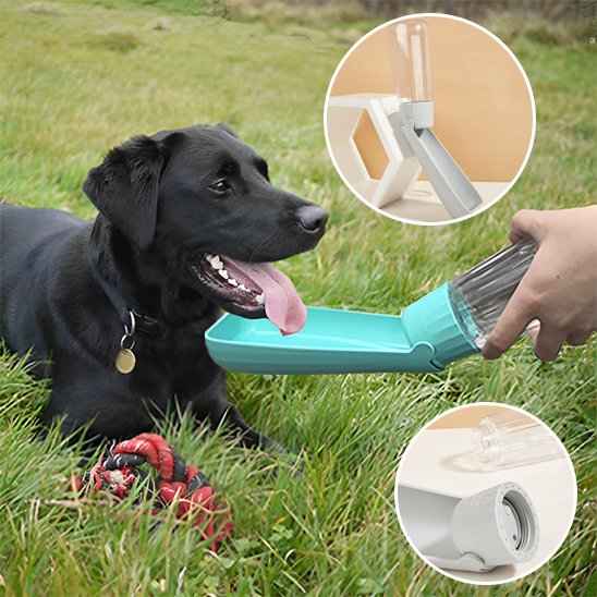 gourde chien portable anti fuite balade