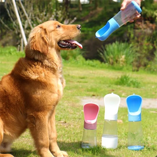 gourde chien portable anti fuite extérieur