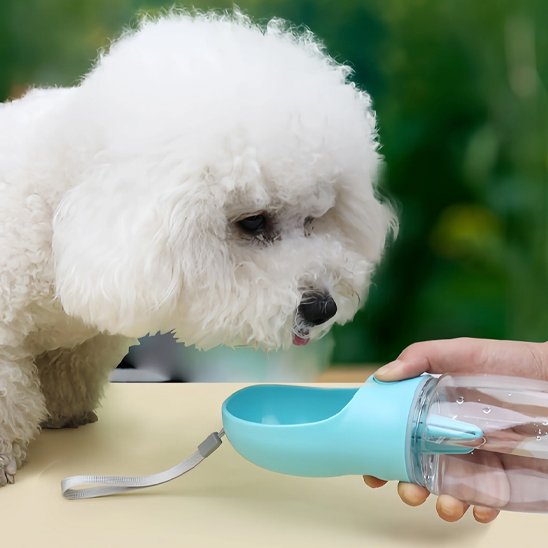 gourde pour chien bol intégré eau