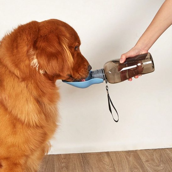 gourde pour chien compacte légère transport