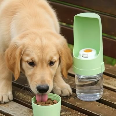 gourde pour chien distributeur eau portatif