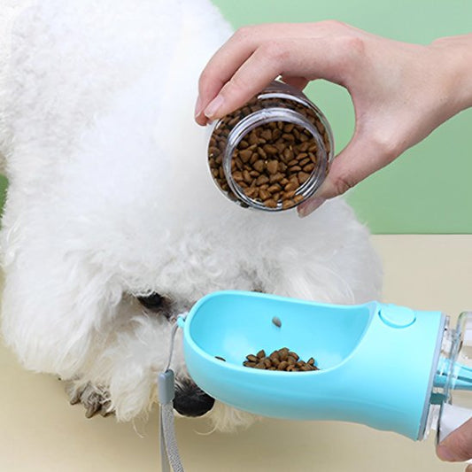 gourde pour chien portable balade