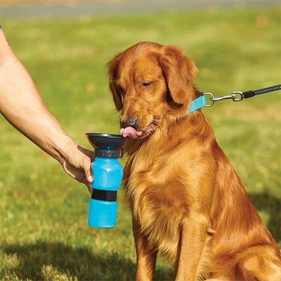 gourde pour chiens légère transport facile