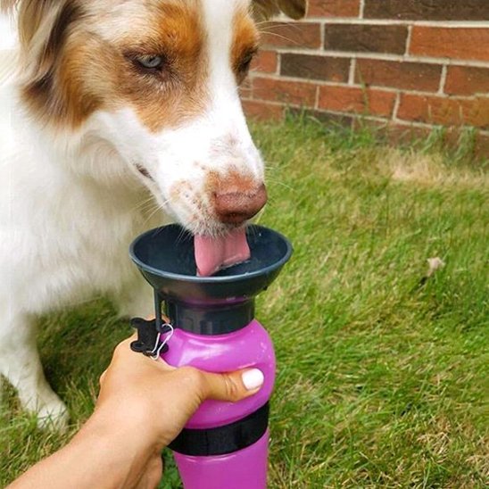 gourde pour chiens pliable extérieur pratique