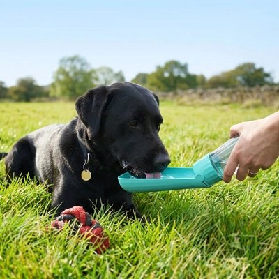 gourdes chien avec bol intégré pour voyage 