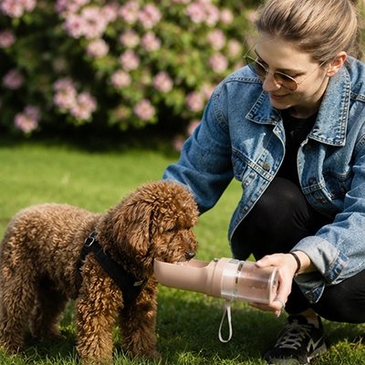 gourdes pour chien 2 en 1 portable