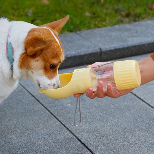 gourdes pour chien portable bol intégré