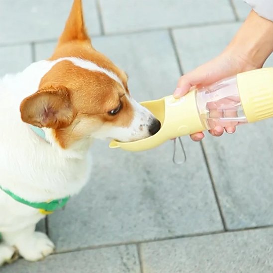 gourdes pour chien pratique hydratation rapide