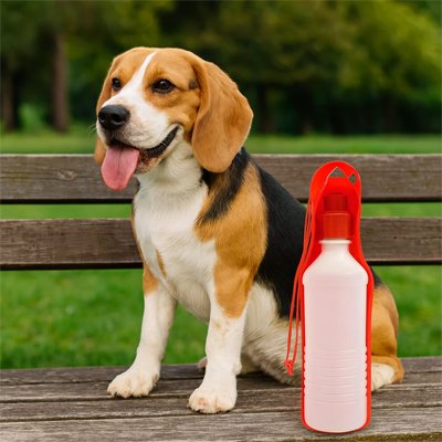 gourdes pour chiens bol intégré