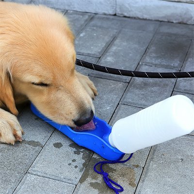 gourdes pour chiens utilisation pratique