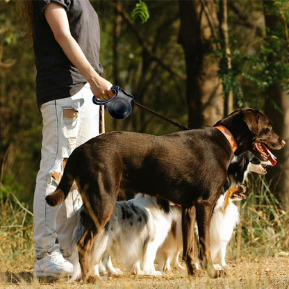 grand chien avec laisse pour chien enrouleur
