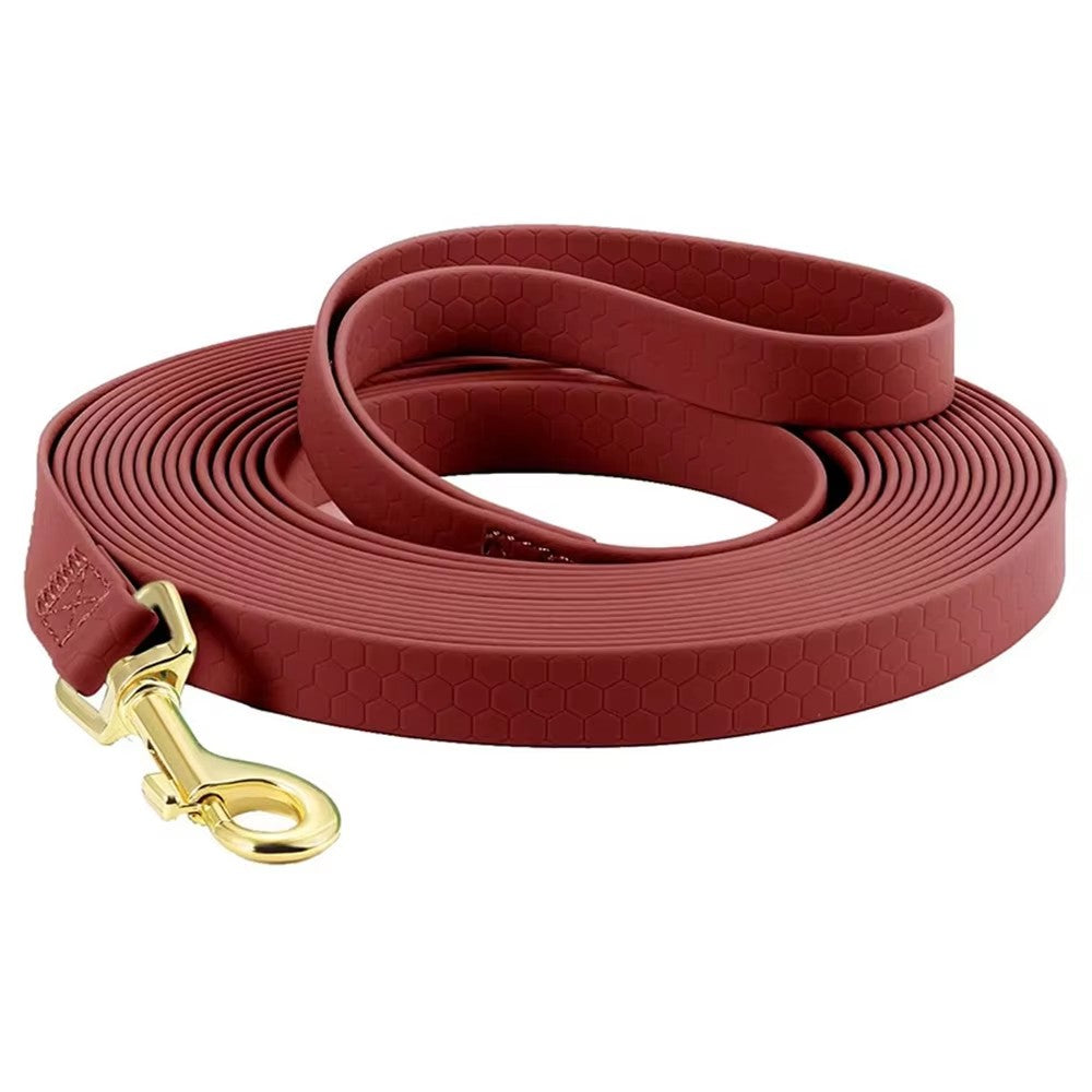 Longes Chien | Résistantes et Confortables