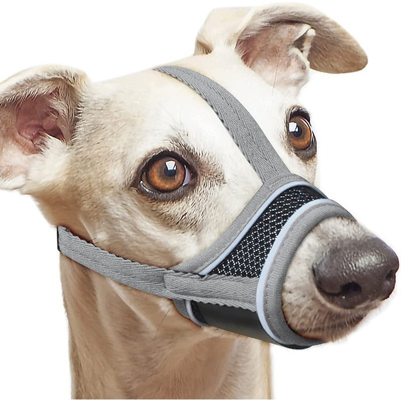Muselière pour chien | Confortable et Sécurisée