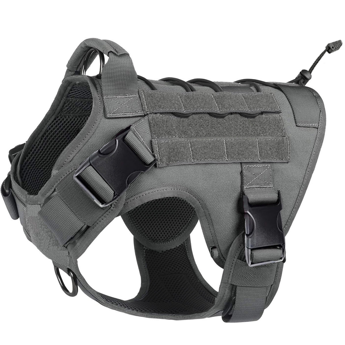 Harnais en y pour chien | Confort+
