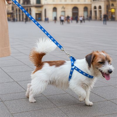 harnais chien en y ajustable confort