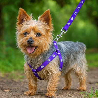 harnais chien en y solide extérieur 