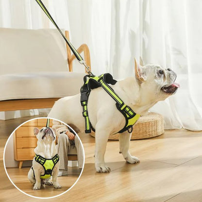 harnais chien y ajustable