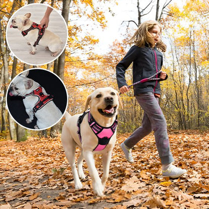 harnais chien y confort balade