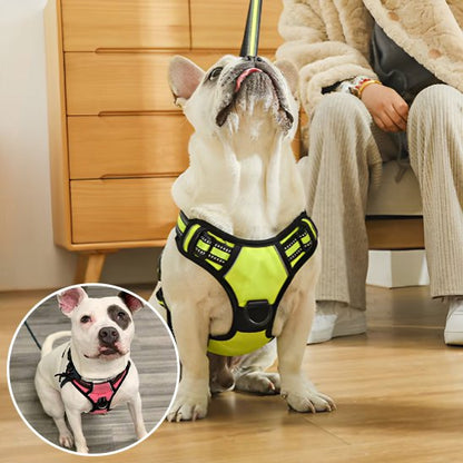 harnais chien y nylon résistant