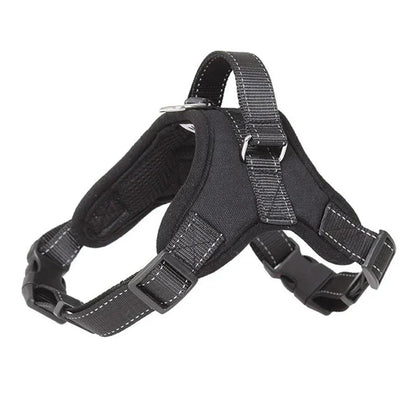 Harnais pour chien | Confort Antitraction