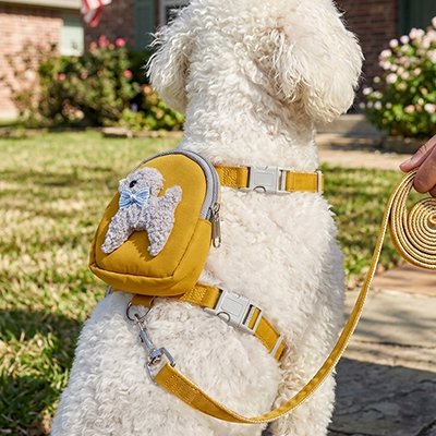 harnais petit chien balade sécurisée
