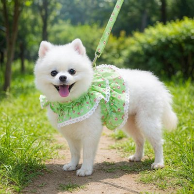 harnais petit chien confortable ajustable