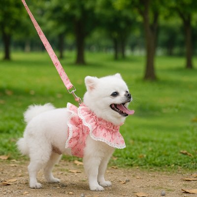 harnais petit chien ergonomique solide
