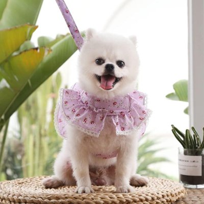harnais petit chien facile enfiler