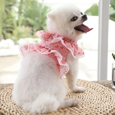 harnais petit chien maintien optimal