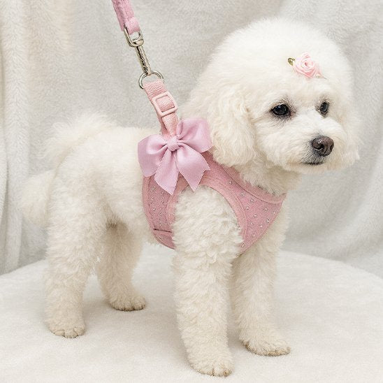 harnais petit chien style unique
