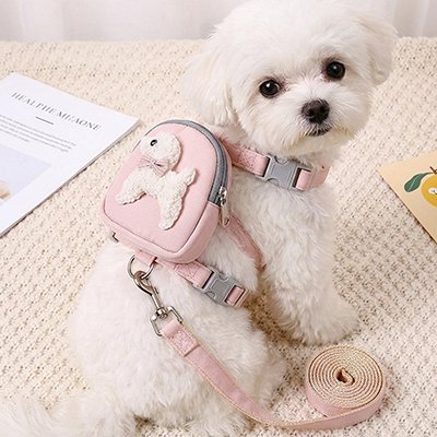 harnais petit chien utilisation quotidienne