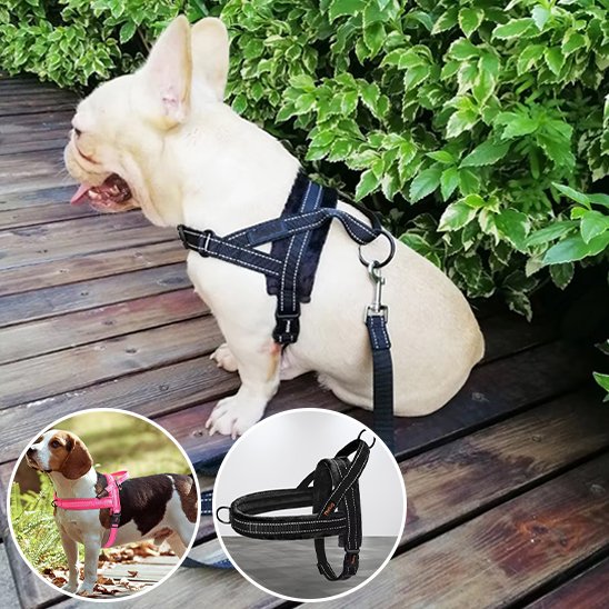 harnais pour chien avec poignée pratique 