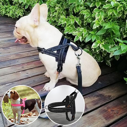 harnais pour chien avec poignée pratique 