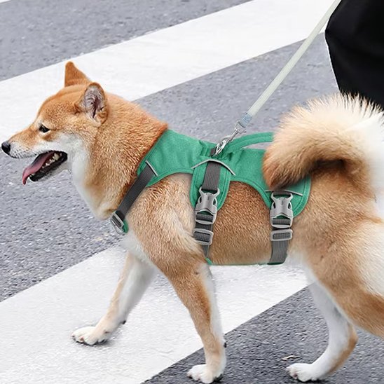 harnais pour chien confortable ajustable