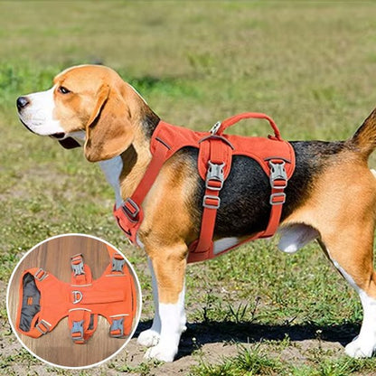 harnais pour chien doux respirant
