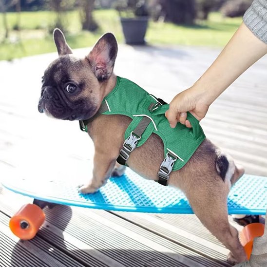 harnais pour chien léger respirant