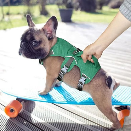 harnais pour chien léger respirant