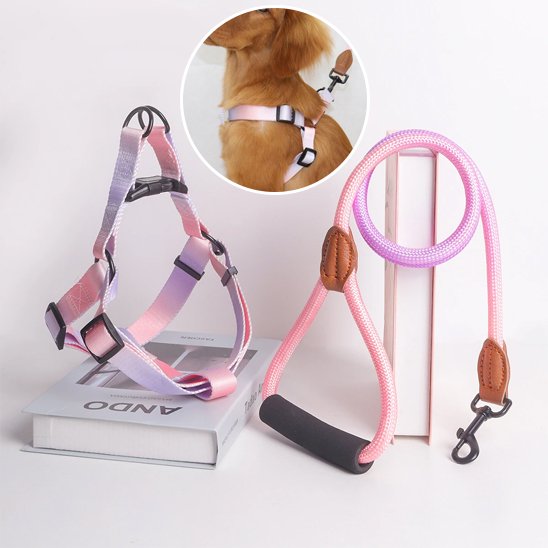 harnais pour chien maintien optimal