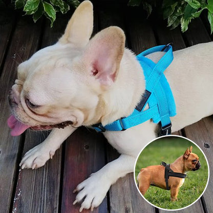 harnais pour chien nylon respirant ajustable