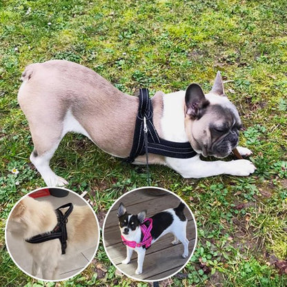 harnais pour chien réfléchissant sécurisé  