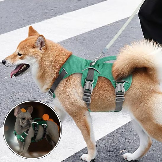 harnais pour chien résistance durable