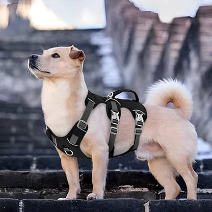 harnais pour chien sécurisé promenade