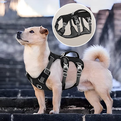 harnais pour chien style élégant