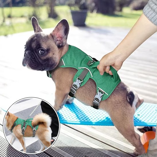 harnais pour chien utilisation facile
