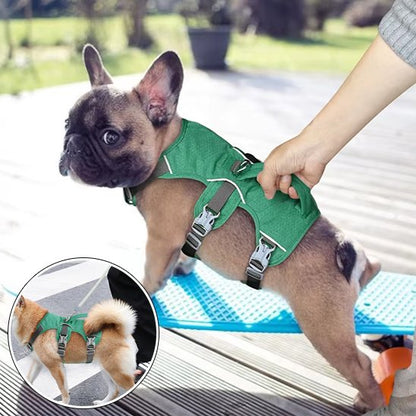 harnais pour chien utilisation facile