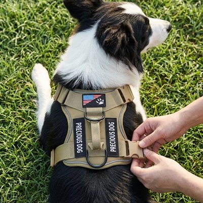 harnais pour chiens léger pratique