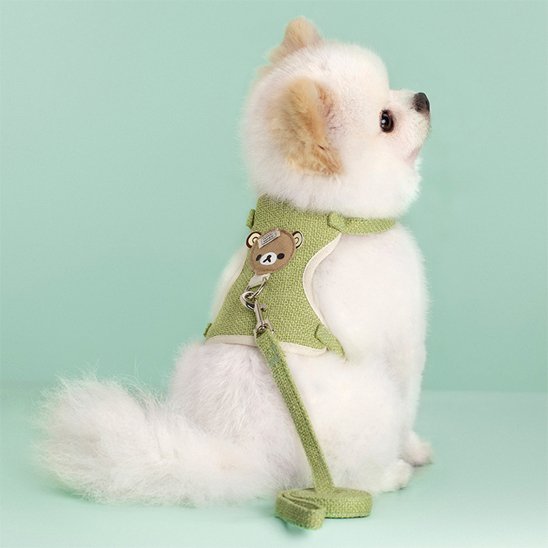 harnais pour petit chien ajustable pratique