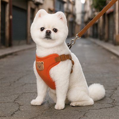 harnais pour petit chien anti traction