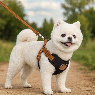 harnais pour petit chien gilet confortable