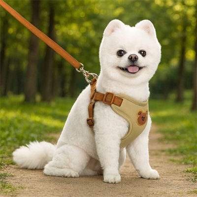 harnais pour petit chien poitrine ajustable